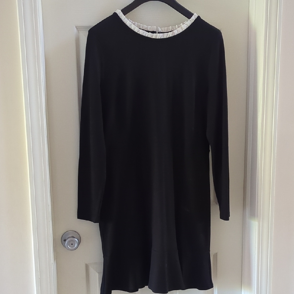 LOFT Black Sheath Dress back Zip with Ruffle Lace Collar 🌸